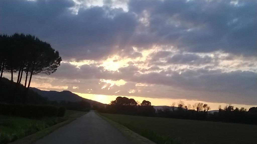 Agriturismo Podere Mulinaccio Ribolla Buitenkant foto