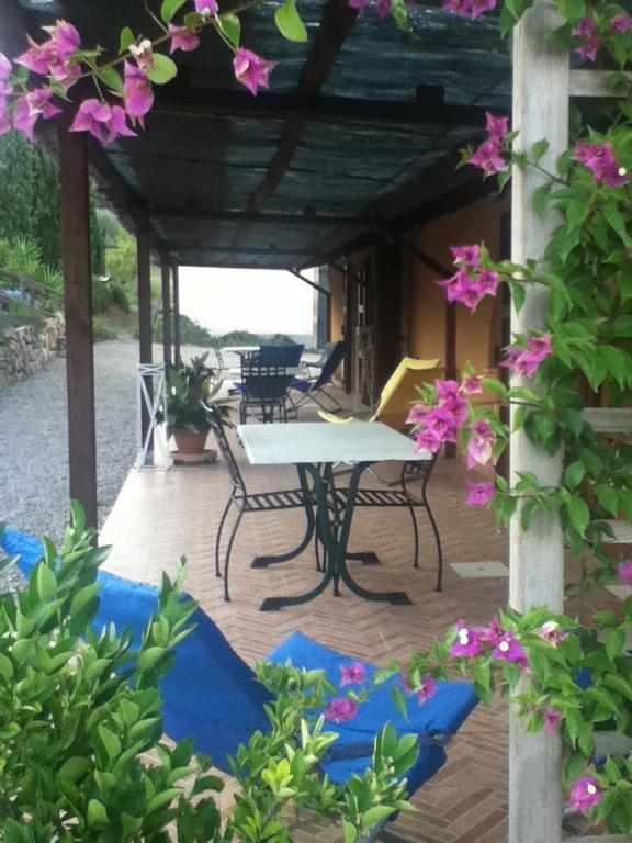 Agriturismo Podere Mulinaccio Ribolla Buitenkant foto